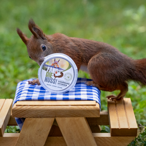 DAS EICHHÖRNCHEN FUTTERCHEN