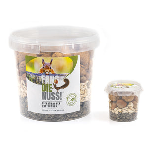 DAS EICHHÖRNCHEN FUTTERCHEN