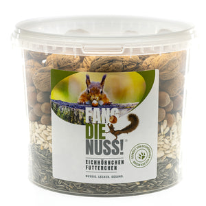 DAS EICHHÖRNCHEN FUTTERCHEN