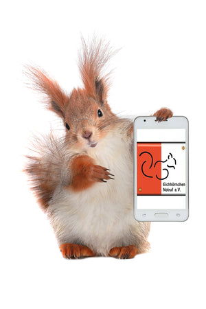 Fang die Nuss Spendenaktion für Eichhörnchen Notruf e.V. mit 18 Cent pro verkaufter Flasche. Eichhörnchen hält eine iphone Handy in der Hand