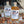fang die nuss haselnuss likör schnaps mini set 
